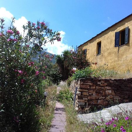 Ikarian Centre - Accommodation & Mountain Hiking Evdilos  Esterno foto