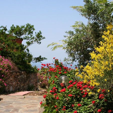 Ikarian Centre - Accommodation & Mountain Hiking Evdilos  Esterno foto