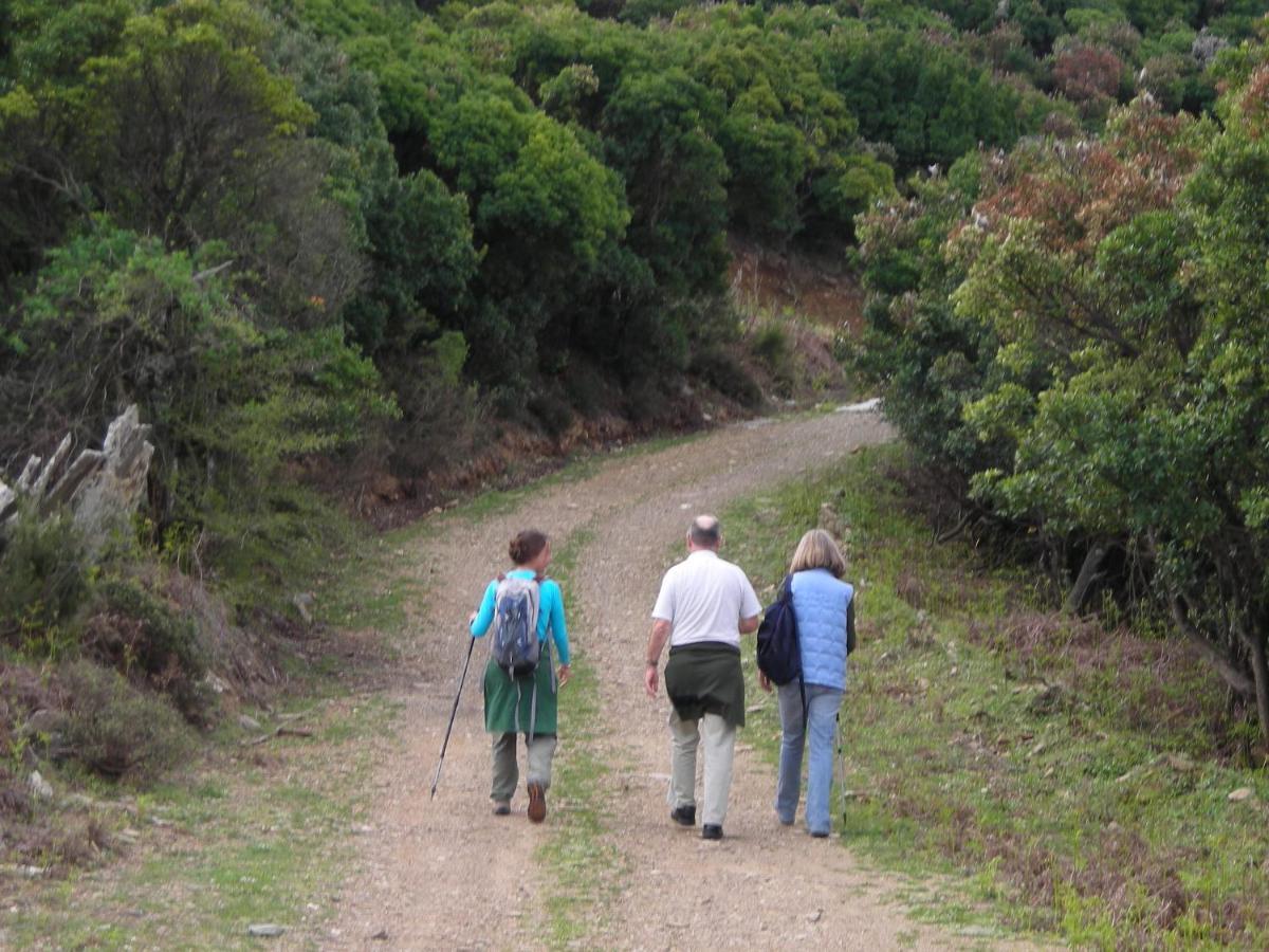 Ikarian Centre - Accommodation & Mountain Hiking Evdilos  Esterno foto