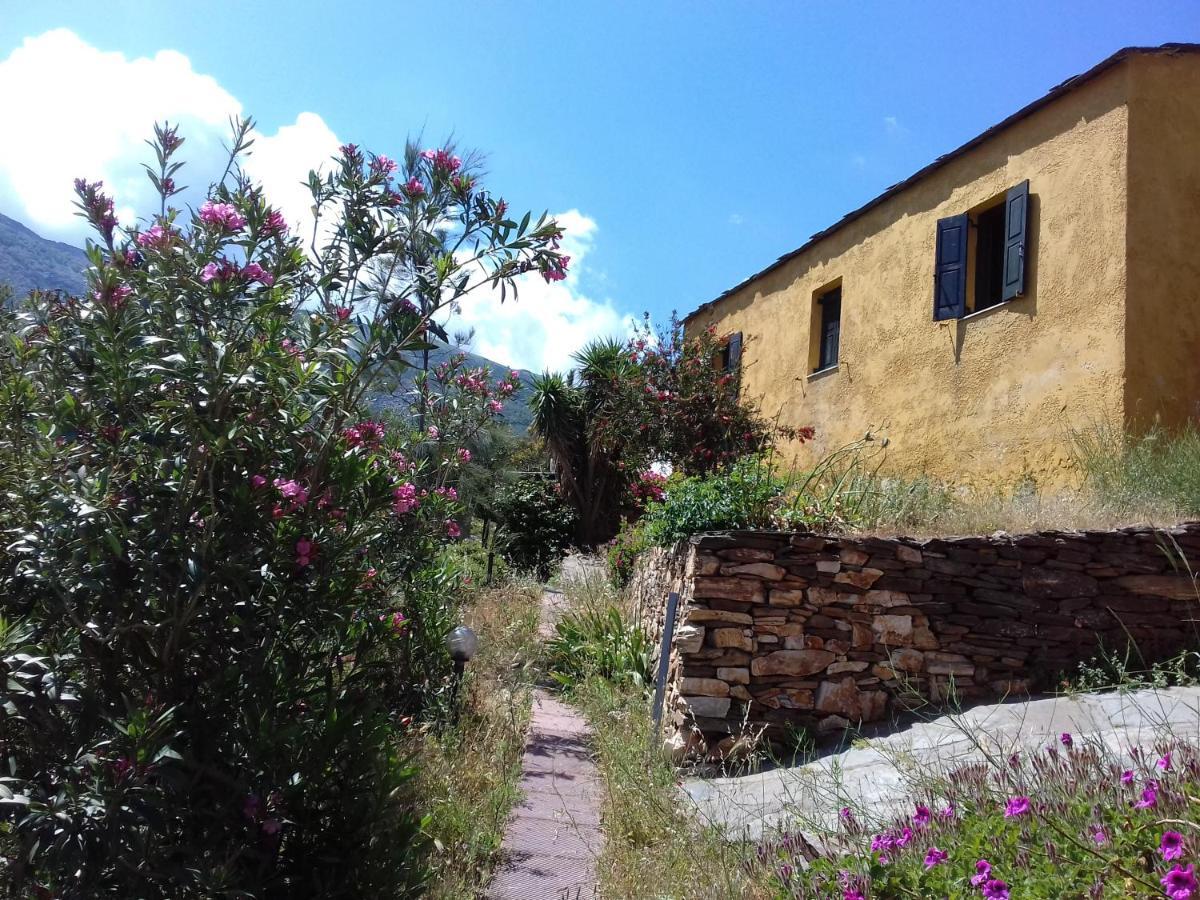 Ikarian Centre - Accommodation & Mountain Hiking Evdilos  Esterno foto