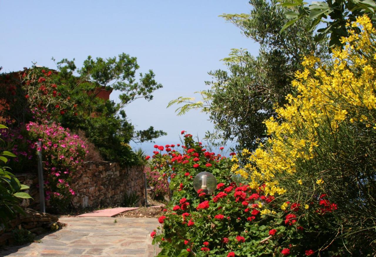 Ikarian Centre - Accommodation & Mountain Hiking Evdilos  Esterno foto