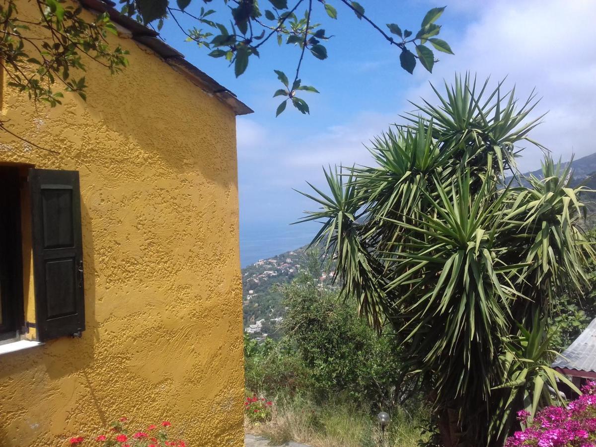 Ikarian Centre - Accommodation & Mountain Hiking Evdilos  Esterno foto